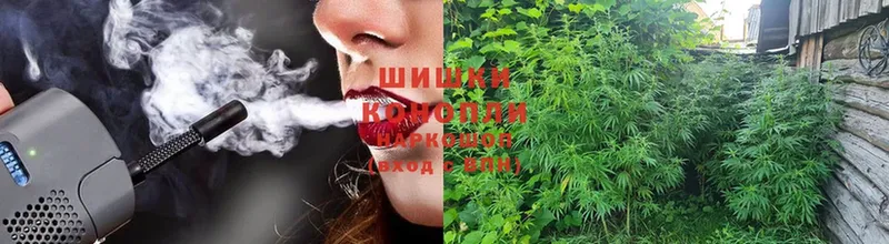 Бошки Шишки OG Kush  где можно купить   Избербаш 